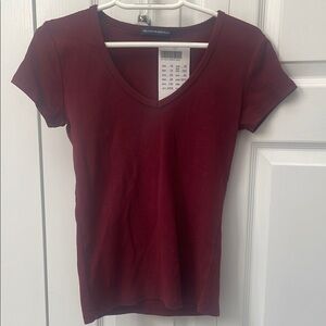 BNWT Brandy Melville V-Neck Burgundy Top